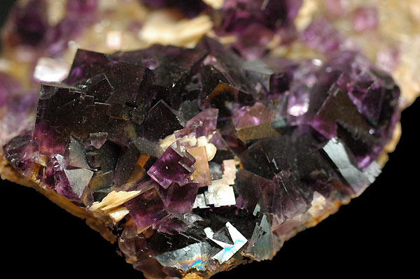 Fluorite- Berbes-Espagne